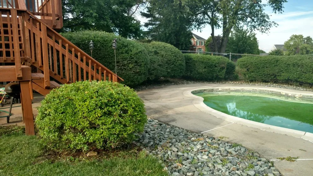 Affordable landscaping services in Frederick, MD by Chief Lawns