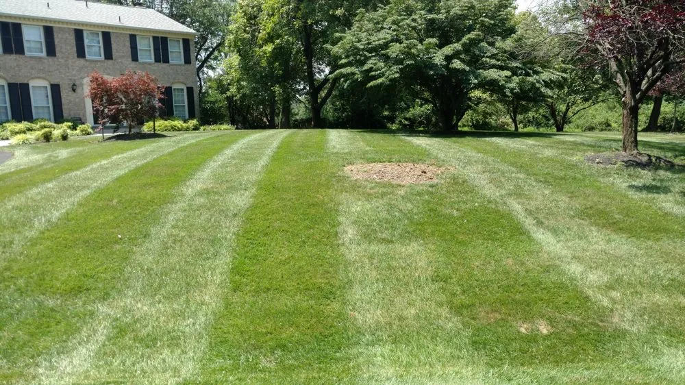 Custom lawn care service in Frederick, MD by Chief Lawns