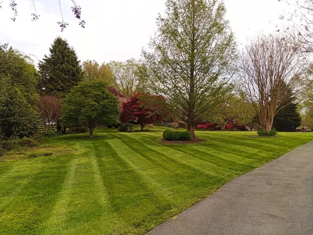 Expert lawn mowing service near you across Frederick, MD - Chief Lawns