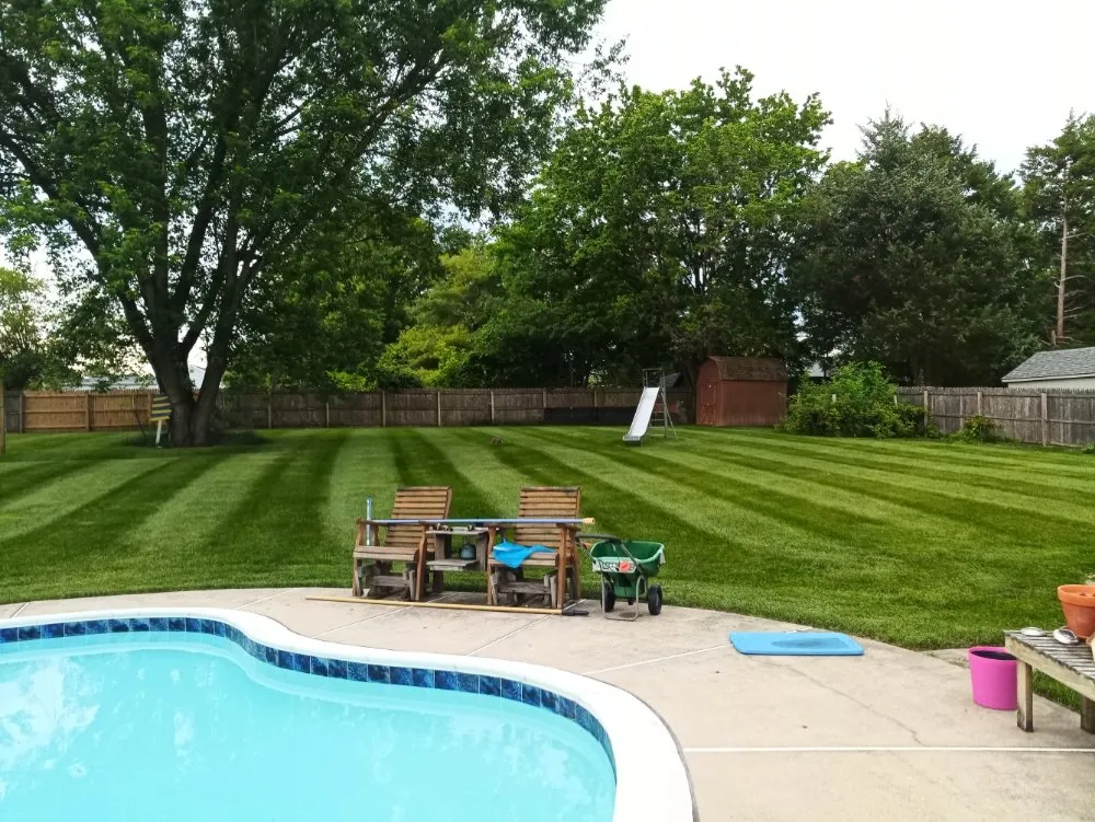 Custom yard cleanup service experts serving Frederick, MD - Chief Lawns