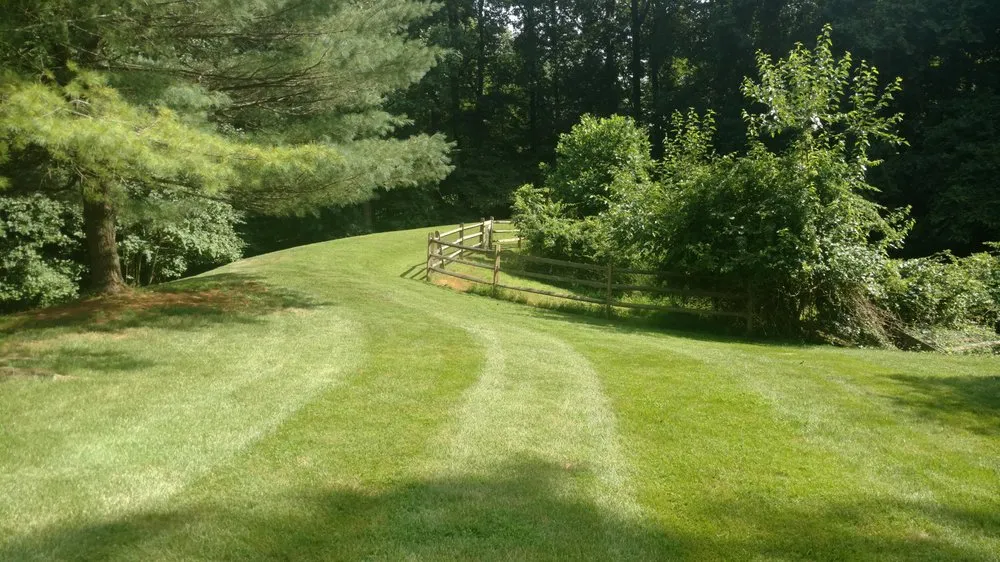 Local yard cleanup service experts serving Frederick, MD - Chief Lawns