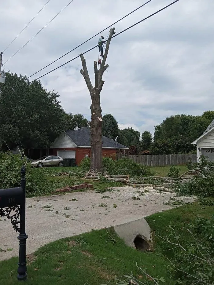 Expert lawn mowing service in Huntsville, AL - Chief Tree Service