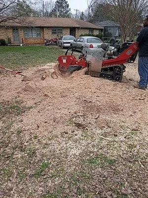 Chief Tree Service Logo