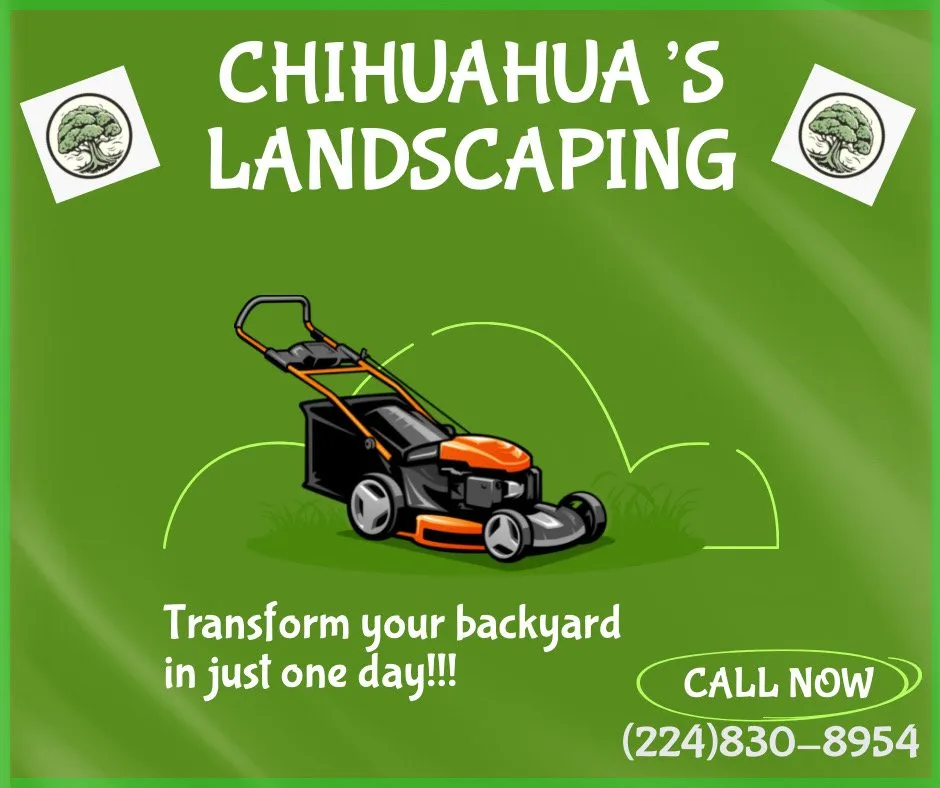 Affordable landscape design experts serving Round Lake Beach, IL - Chihuahua’s Landscaping