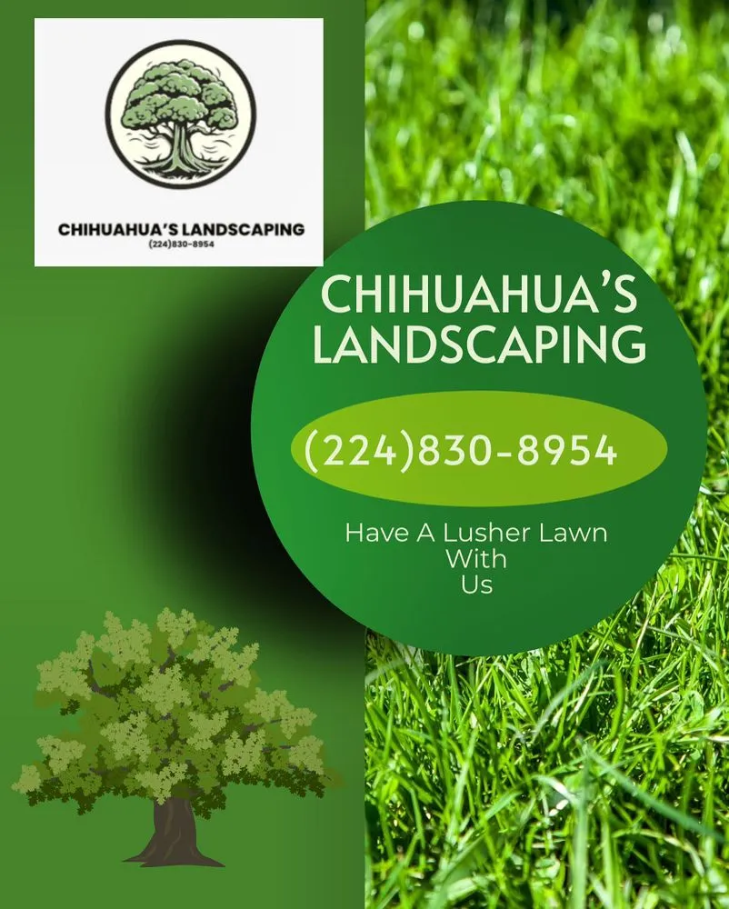 Expert yard cleanup service for year-round maintenance in Round Lake Beach, IL by Chihuahua’s Landscaping