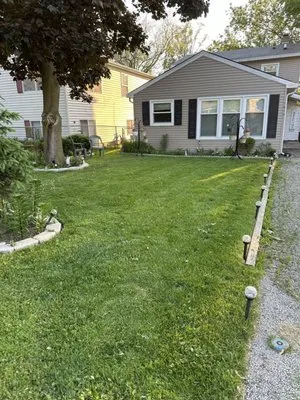 Chihuahua’s Landscaping