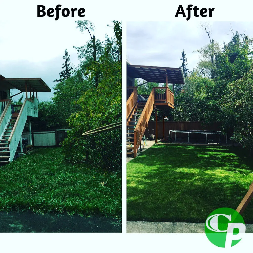 Affordable yard cleanup service near you in Everett, WA by Chiki Piki Landscaping