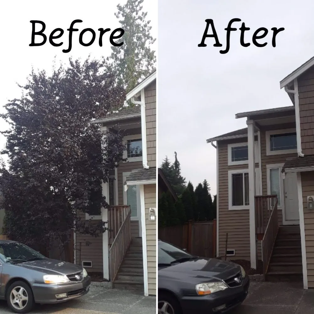 Reliable landscape design for residential properties across Everett, WA - Chiki Piki Landscaping