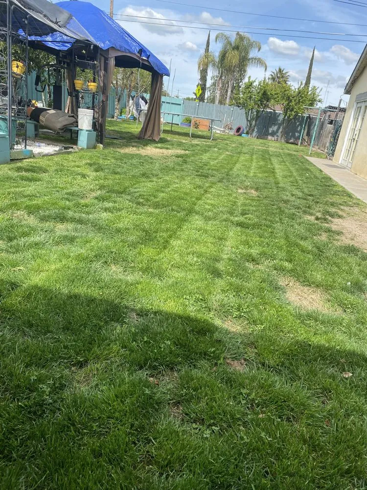 Affordable lawn mowing service in Chowchilla, CA - Chikis Lawn Care And Maintenence