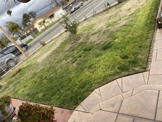 Chikis Lawn Care And Maintenence