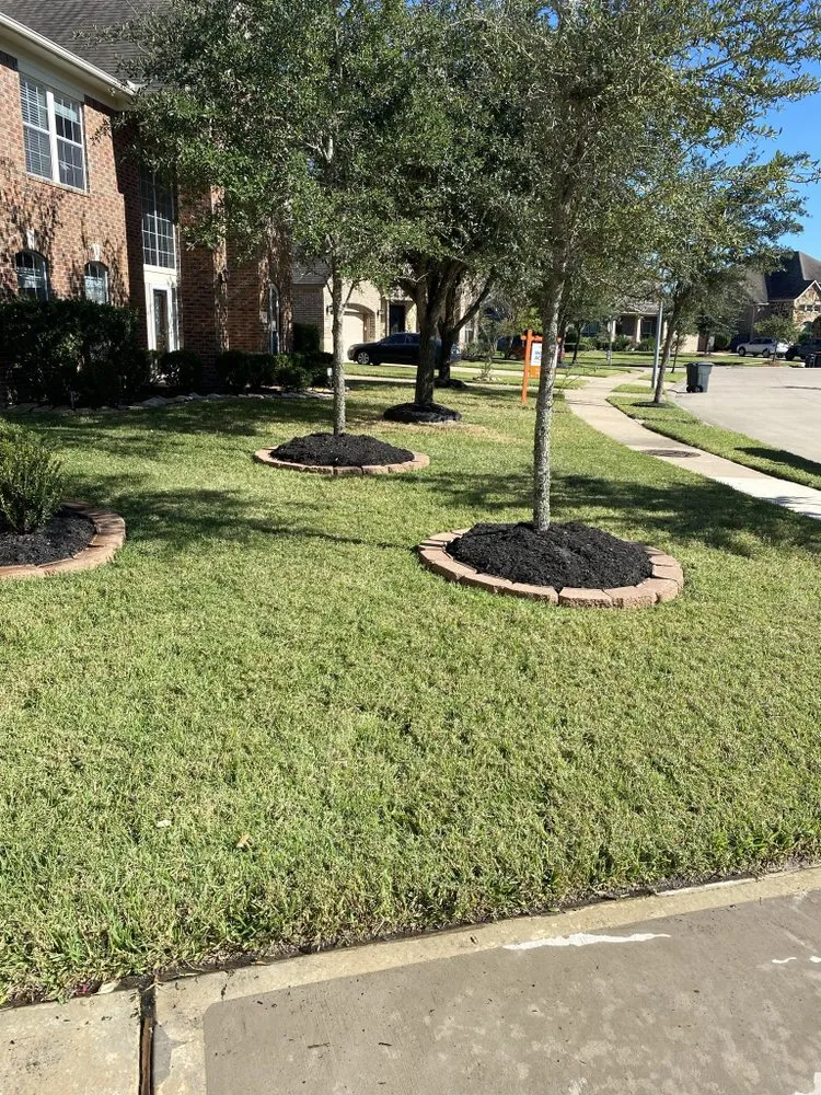 Expert yard cleanup service experts serving Houston, TX - Chilango Grass Mowing & Maintenance