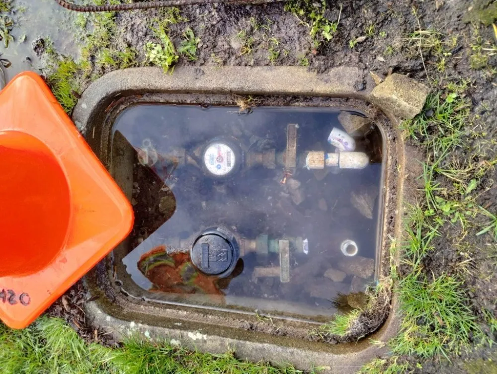 Local lawn mowing service experts serving Centralia, WA - Childers Handyman Services