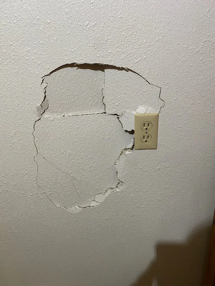 Expert yard maintenance experts serving Centralia, WA - Childers Handyman Services