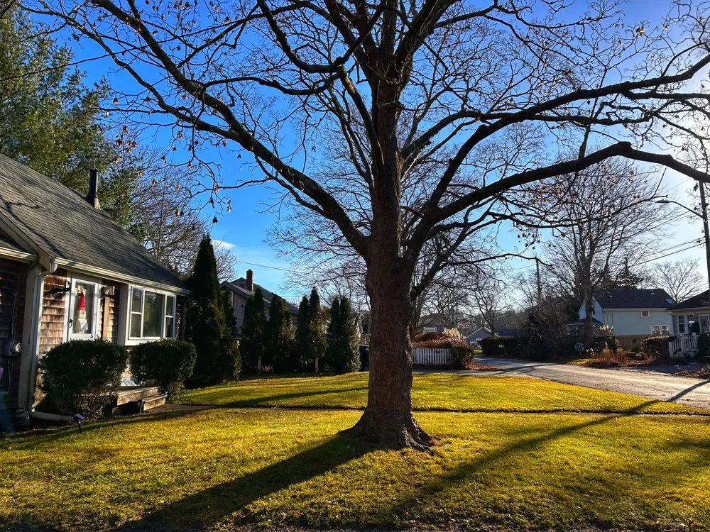 Reliable landscape design experts serving Hyannis, MA - Childs Property Maintenance