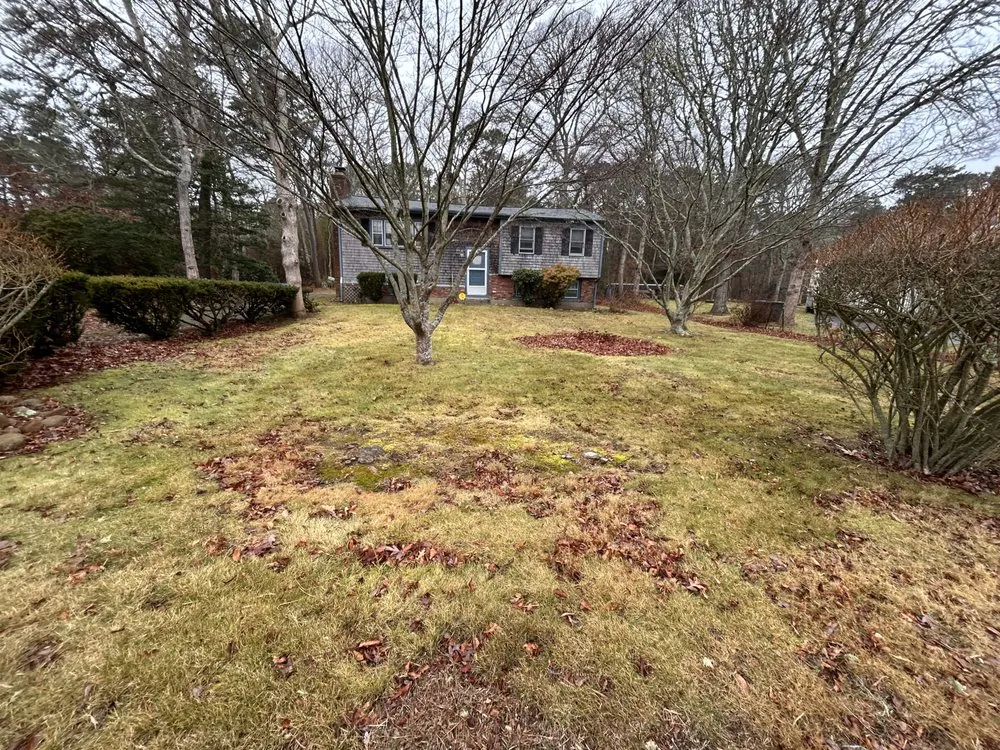 Professional yard maintenance near you in Hyannis, MA by Childs Property Maintenance