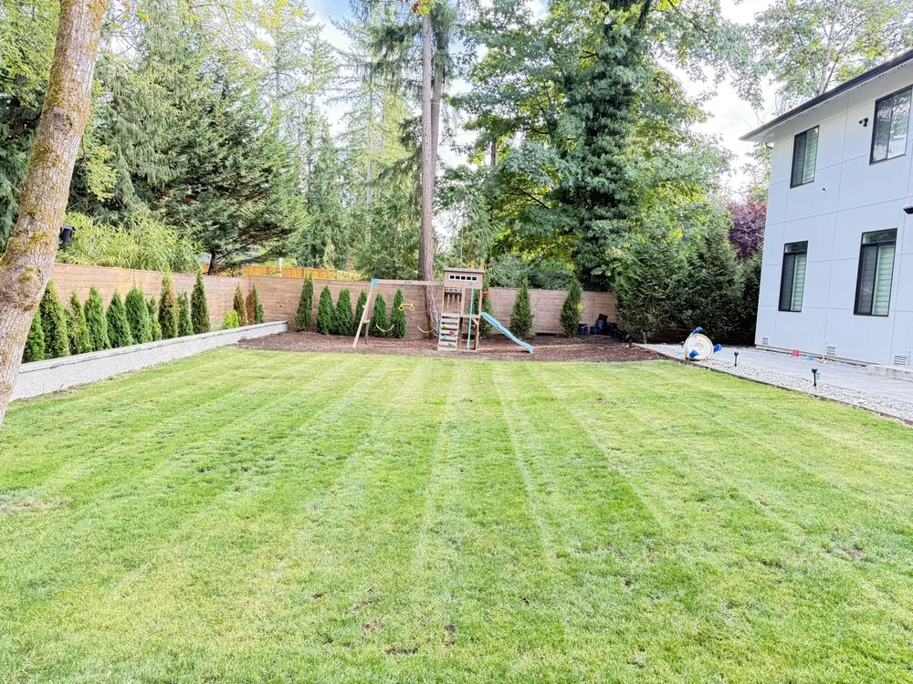 Local yard cleanup service experts serving Bellevue, WA - Chilel Landscaping