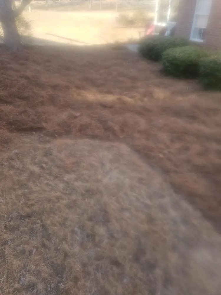 Affordable yard maintenance experts serving Ninety Six, SC - Chiles Grass Cutting