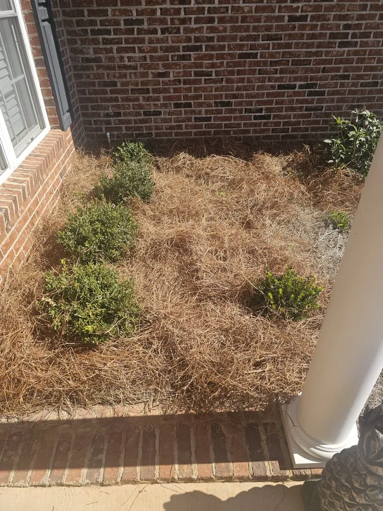 Affordable landscape installation in Ninety Six, SC by Chiles Grass Cutting