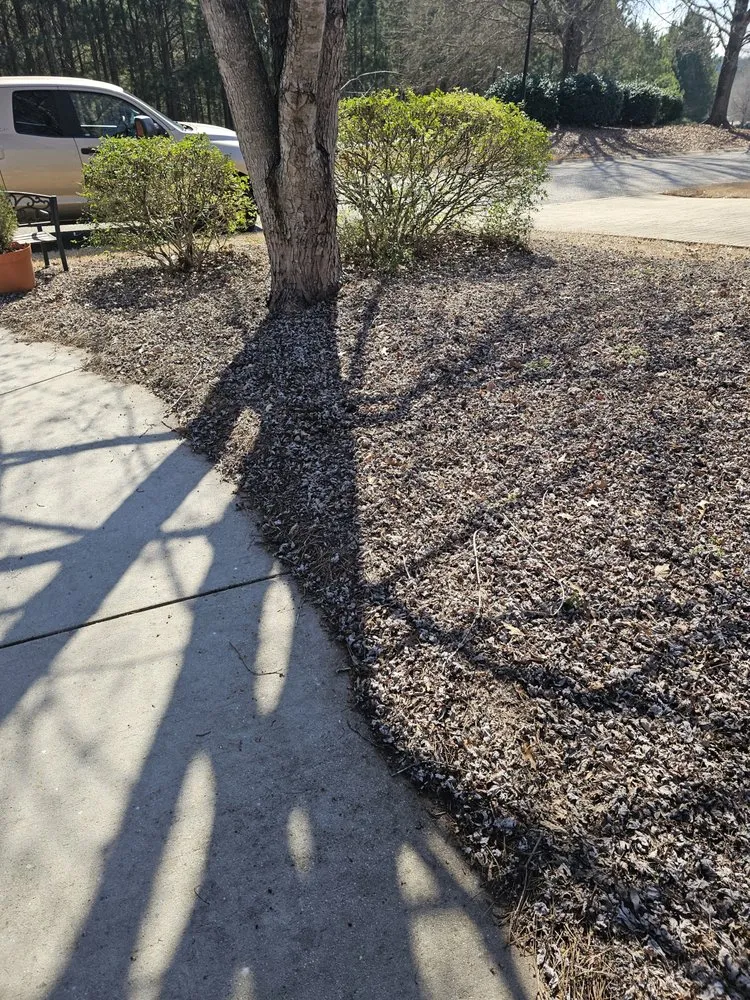 Local landscape installation for outdoor upgrades across Ninety Six, SC - Chiles Grass Cutting