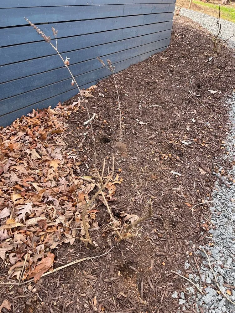 Trusted residential landscaping for residential properties across Louisa, VA - Chiles Grounds Maintenance