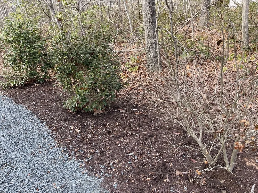 Expert lawn mowing service for beautiful yards across Louisa, VA - Chiles Grounds Maintenance