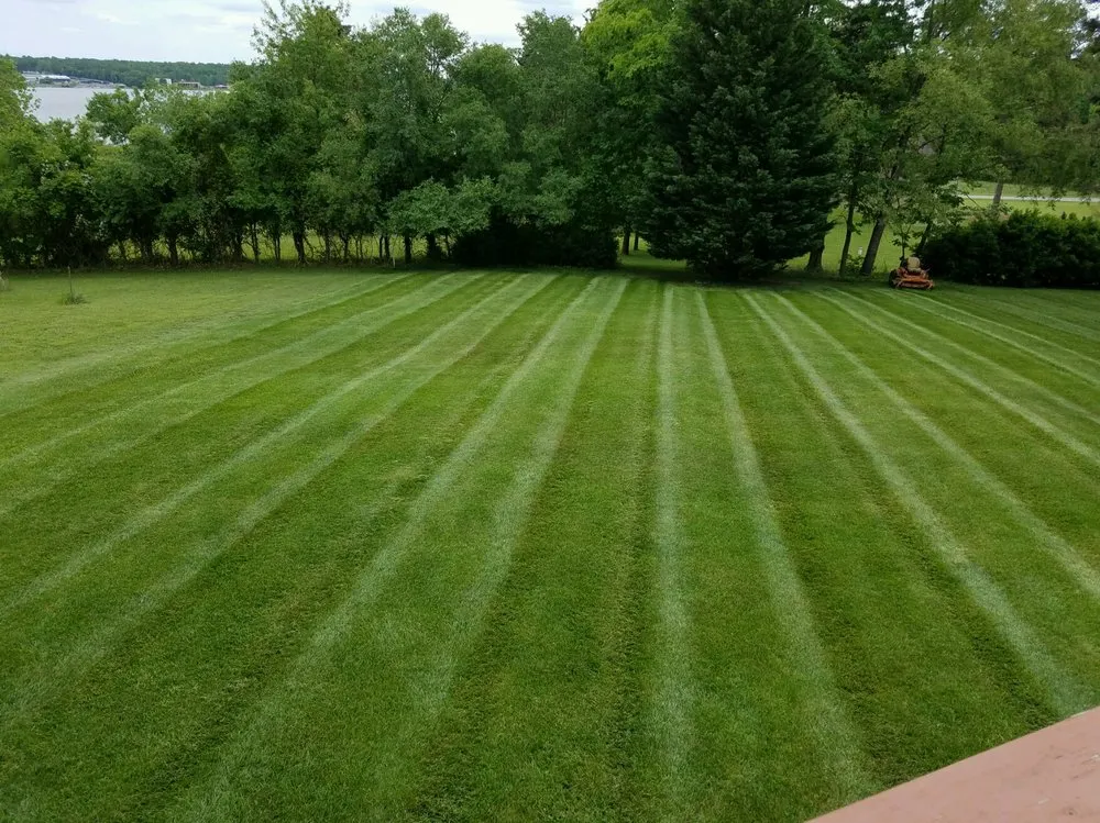 Top-rated lawn mowing service for homes in Louisa, VA by Chiles Grounds Maintenance