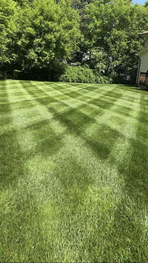 Top-rated outdoor landscaping for year-round maintenance in New City, NY by Chillino’s Landscaping