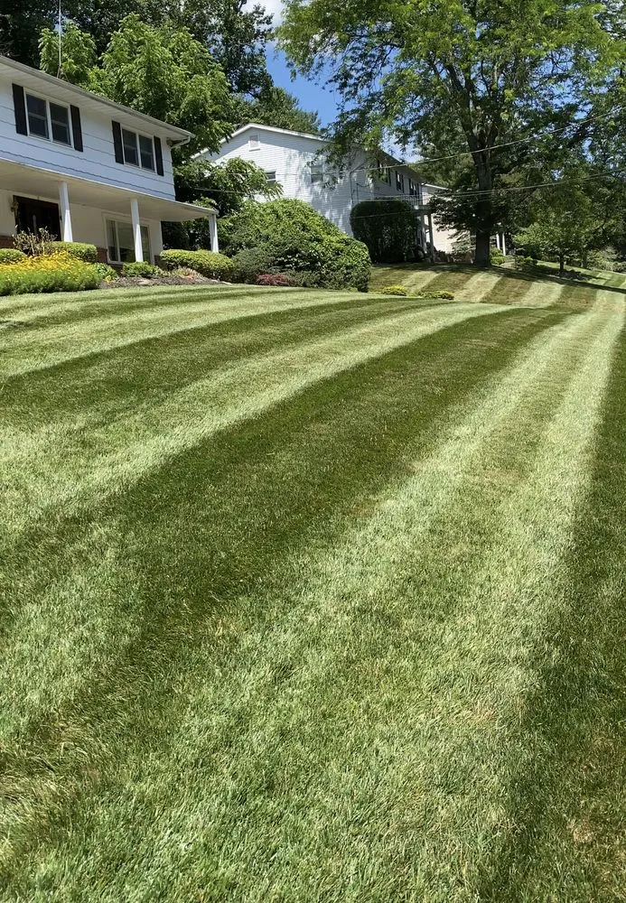 Top-rated landscaping services near you in New City, NY by Chillino’s Landscaping