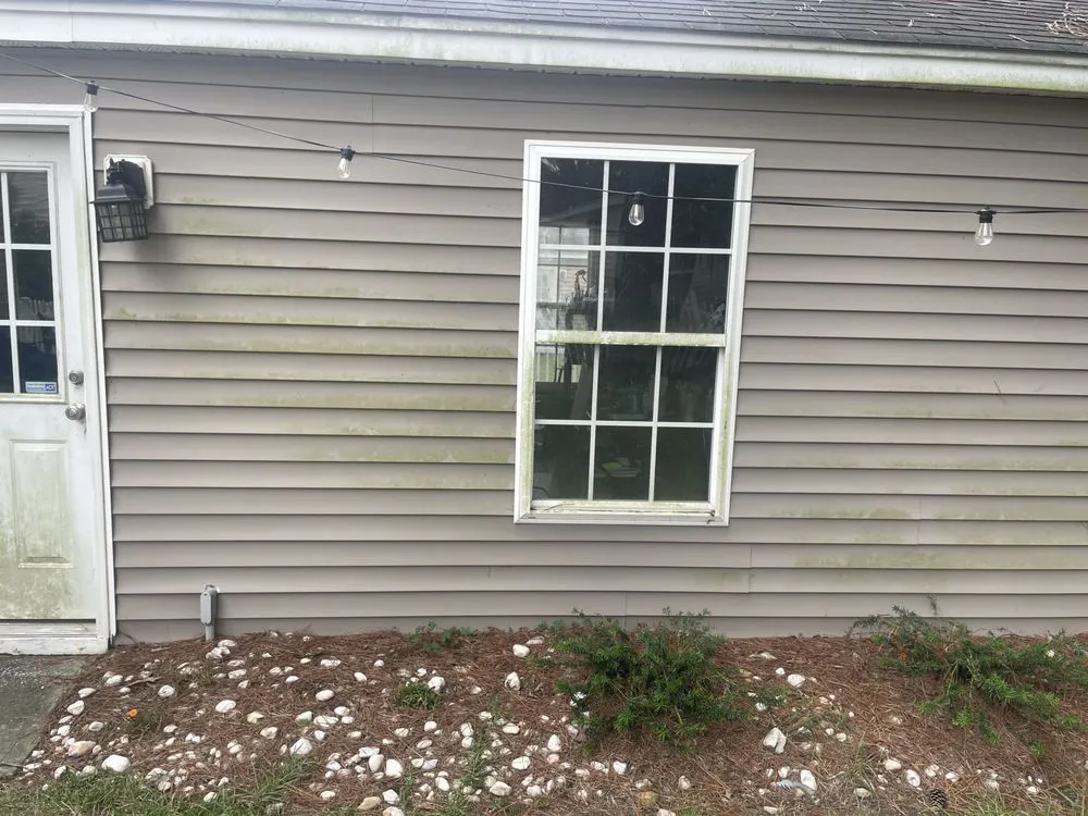 Local yard cleanup service experts serving Charleston, SC - Chilli’s Pressure Washing &Landscaping