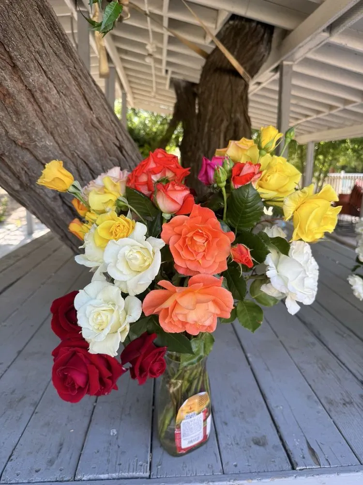 Expert garden landscaping for year-round maintenance in San Francisco, CA by Chilo’s Maintenance and Landscaping Service