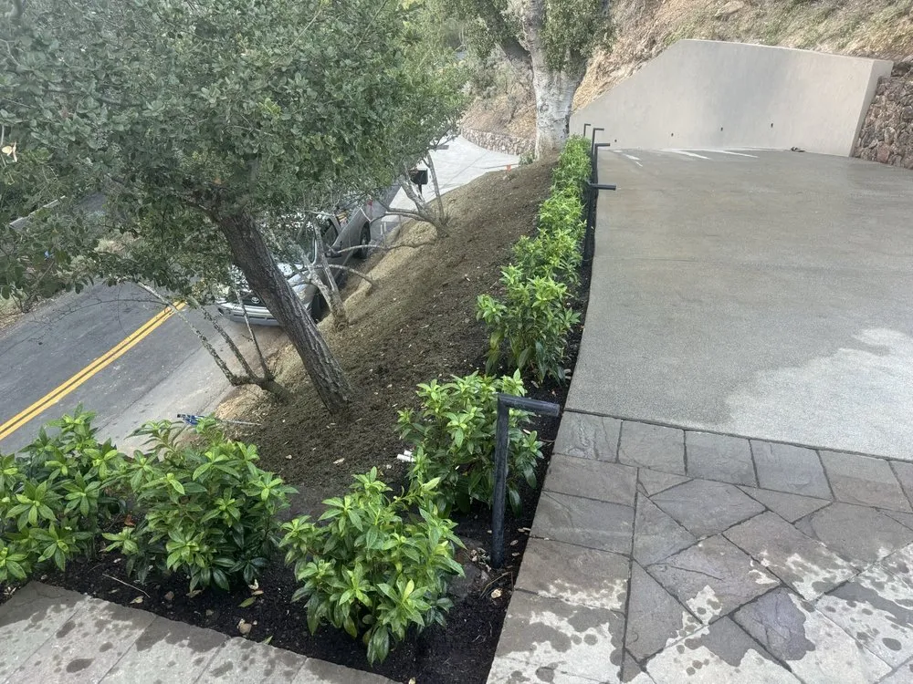 Top-rated yard maintenance in San Francisco, CA by Chilo’s Maintenance and Landscaping Service