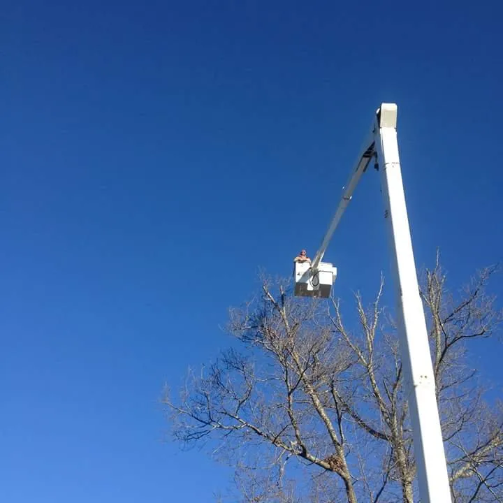 Professional residential landscaping experts serving Stoneville, NC - Chiltons Landscaping Tree Service