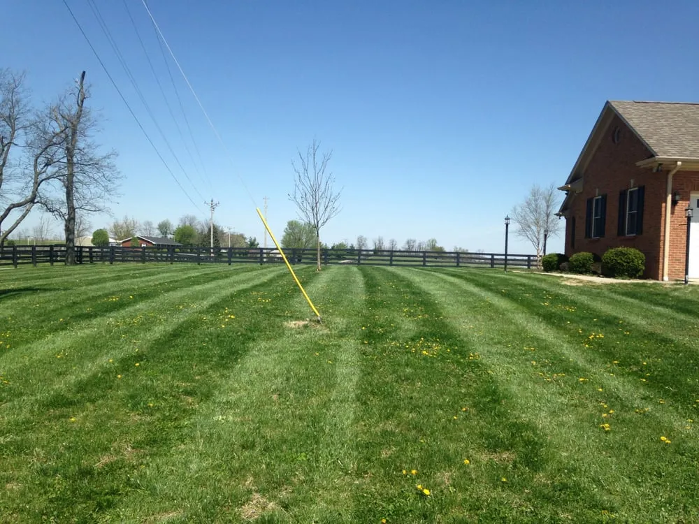 Professional garden landscaping in Salvisa, KY - Chilton's Lawn and Maintenance