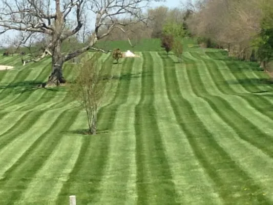 Chilton's Lawn and Maintenance