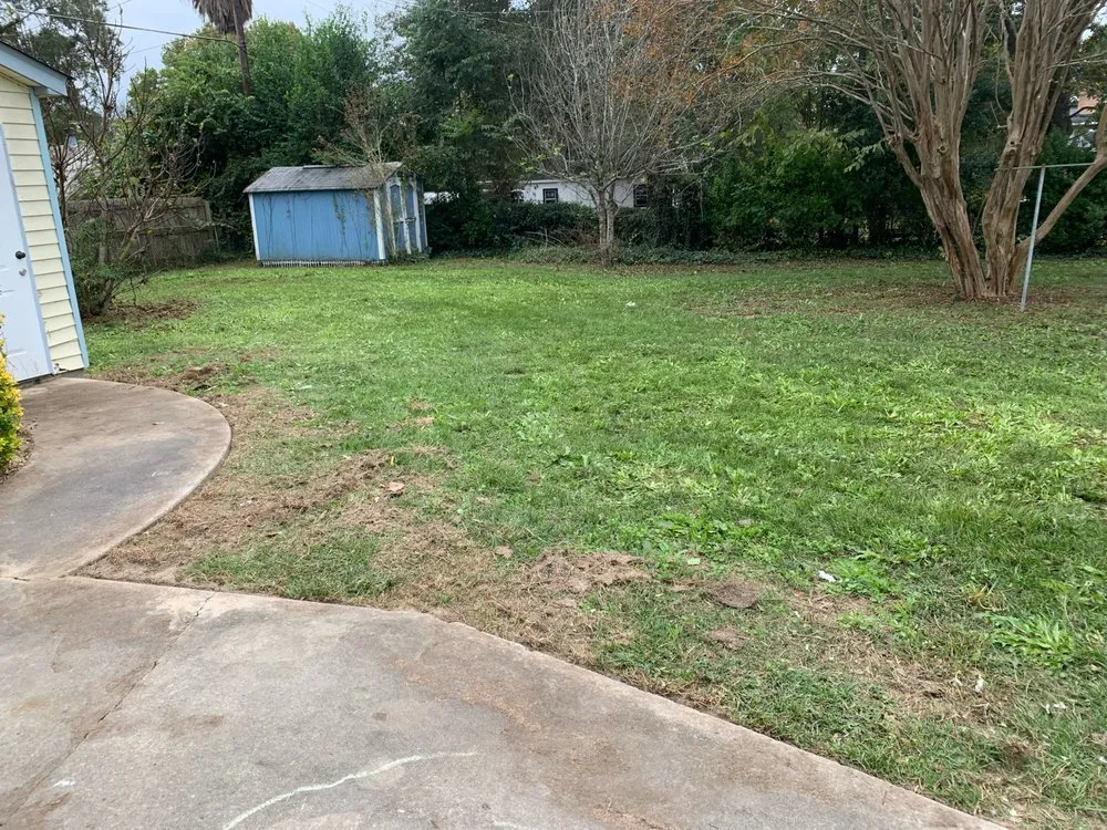 Trusted yard cleanup service in Columbia, SC by Chimento Landscaping & Maintenance