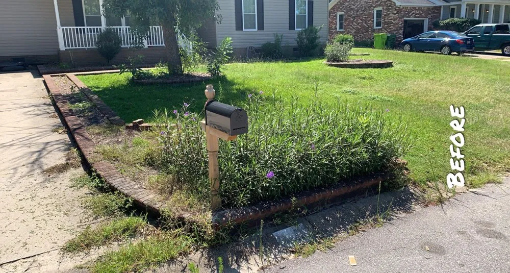 Affordable yard cleanup service in Columbia, SC by Chimento Landscaping & Maintenance