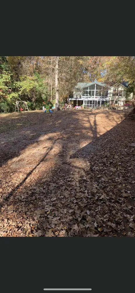 Custom landscaping services for beautiful yards across Columbia, SC - Chimento Landscaping & Maintenance