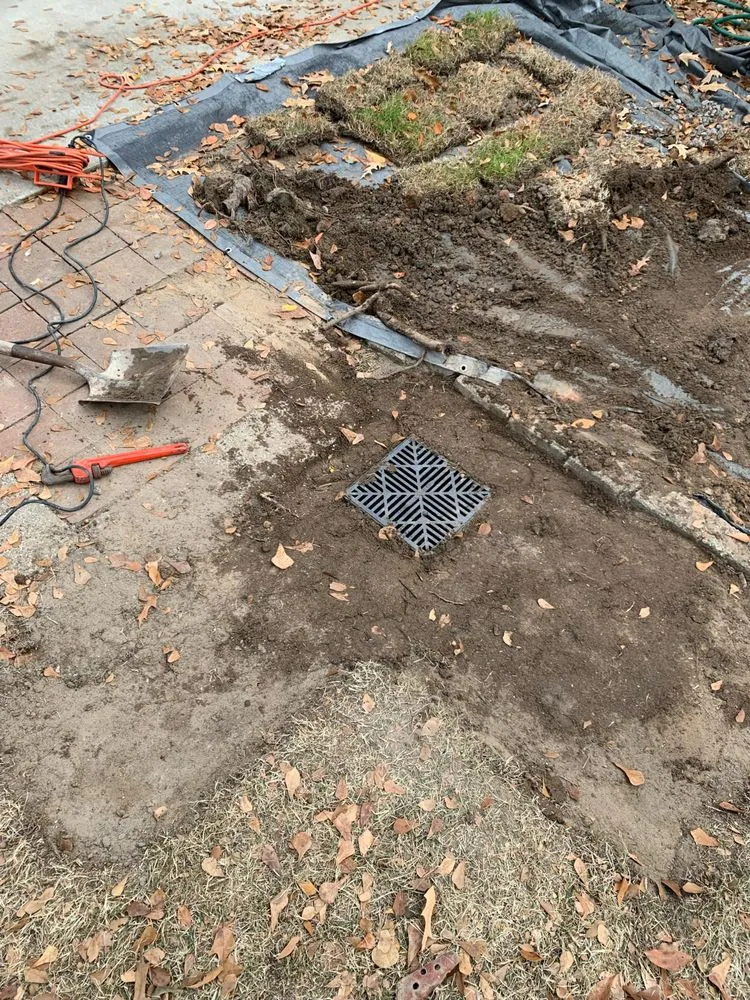 Top-rated residential landscaping in Columbia, SC by Chimento Landscaping & Maintenance