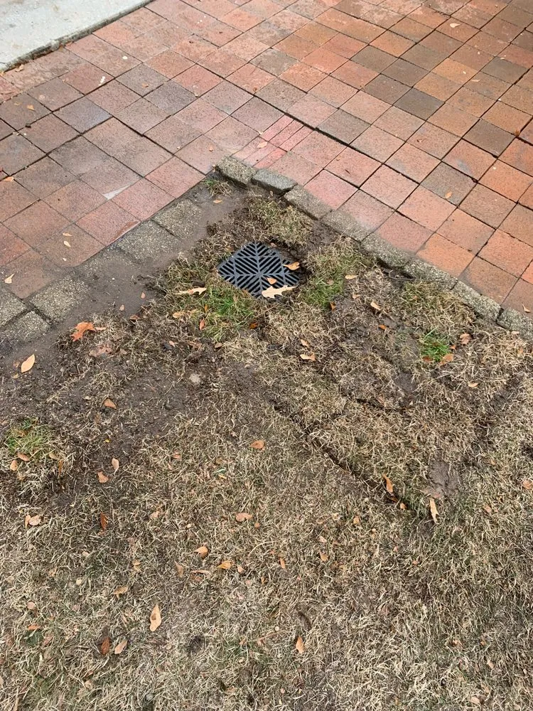 Trusted lawn mowing service experts serving Columbia, SC - Chimento Landscaping & Maintenance