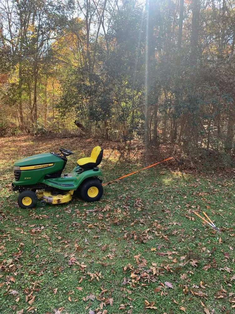 Professional residential landscaping in Columbia, SC by Chimento Landscaping & Maintenance