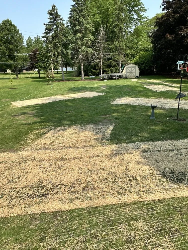 Custom lawn mowing service in Naperville, IL - Chimy’s Landscaping