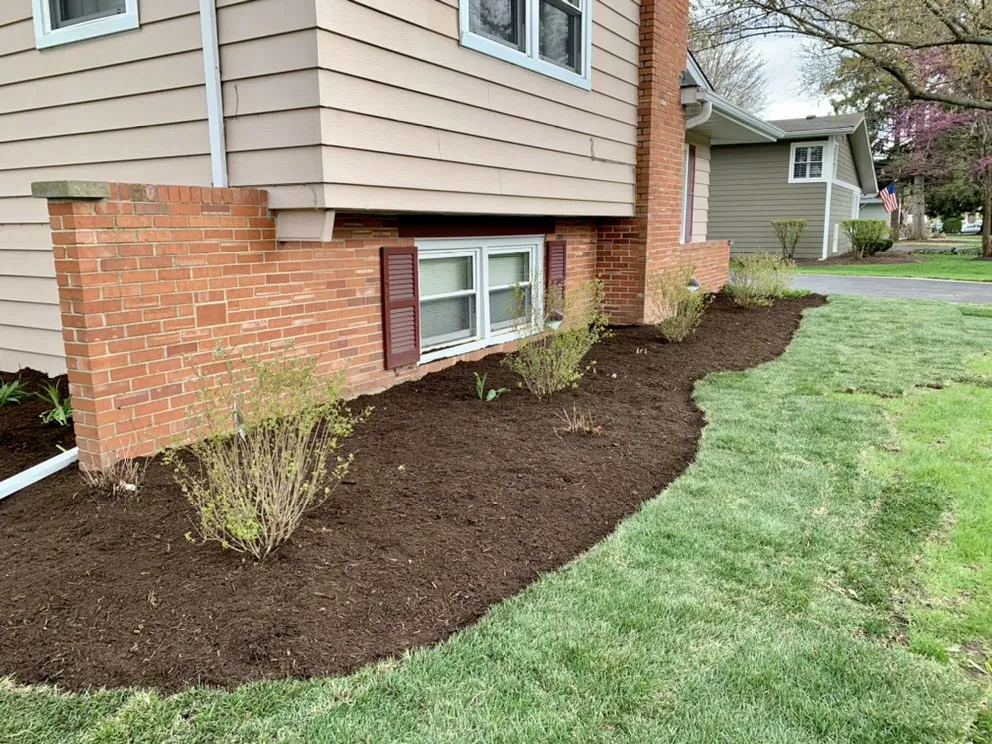 Top-rated lawn care service in Naperville, IL - Chimy’s Landscaping