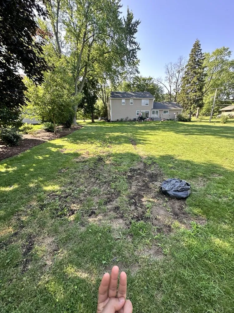 Reliable outdoor landscaping in Naperville, IL by Chimy’s Landscaping