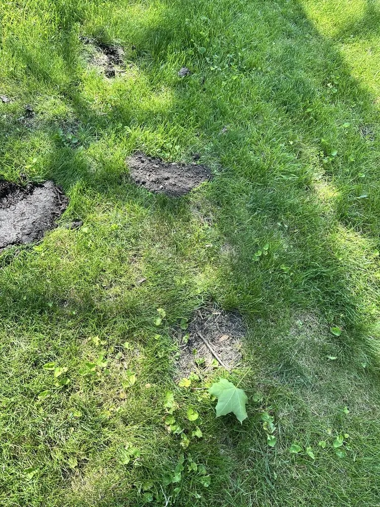 Trusted landscaping services for outdoor upgrades across Naperville, IL - Chimy’s Landscaping