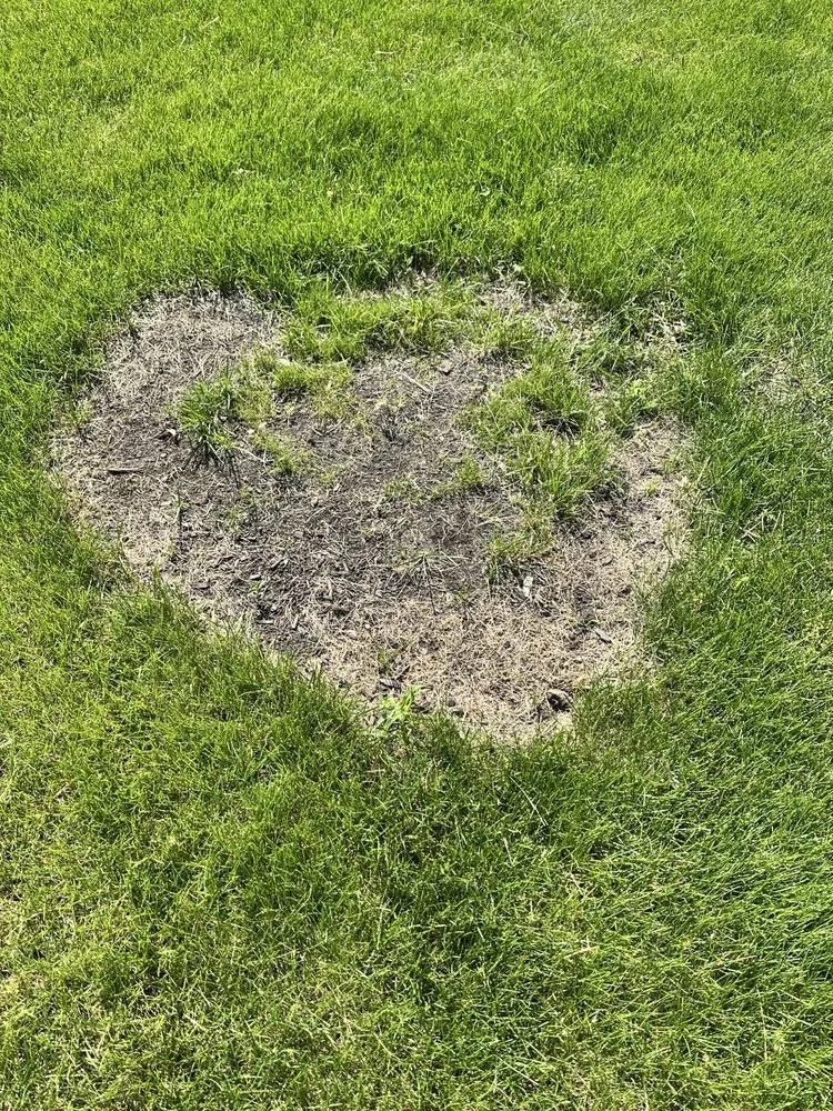 Affordable yard maintenance for beautiful yards in Naperville, IL by Chimy’s Landscaping