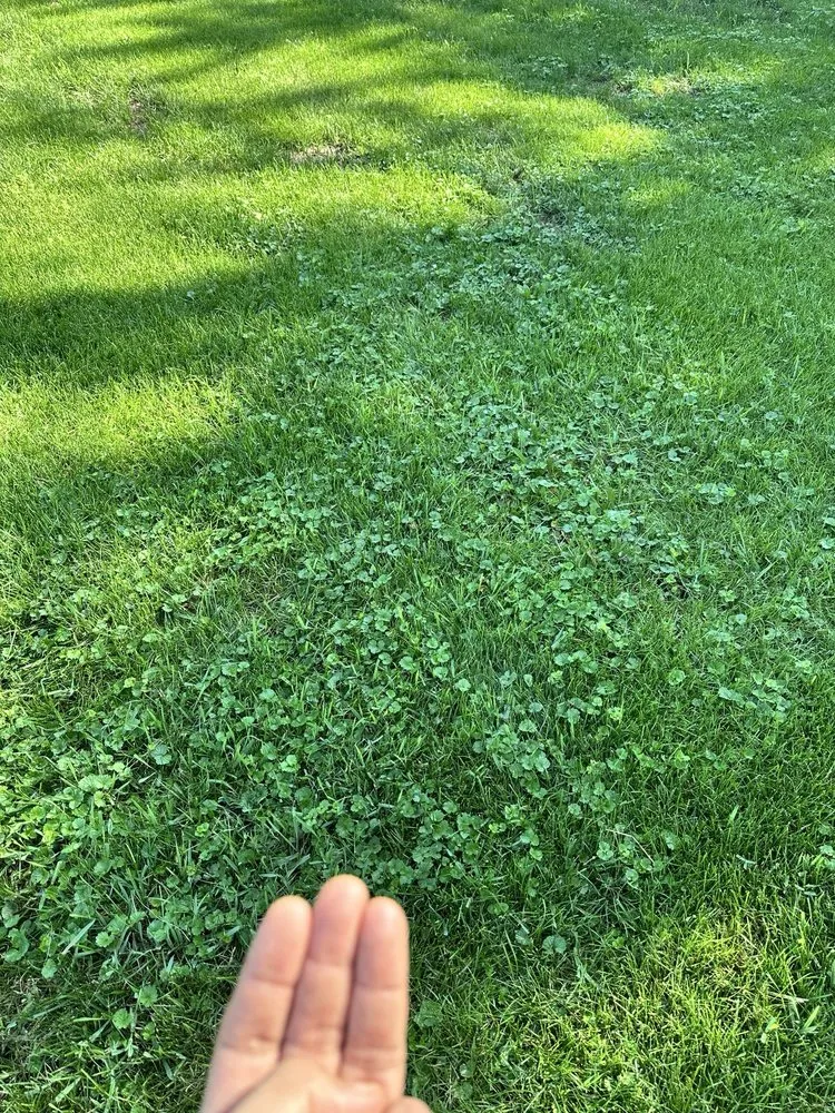 Expert garden landscaping in Naperville, IL by Chimy’s Landscaping