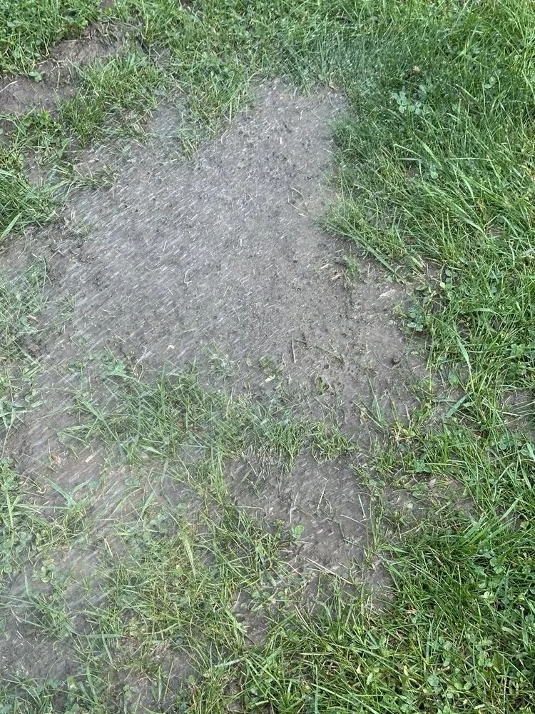 Affordable landscaping services for beautiful yards across Naperville, IL - Chimy’s Landscaping