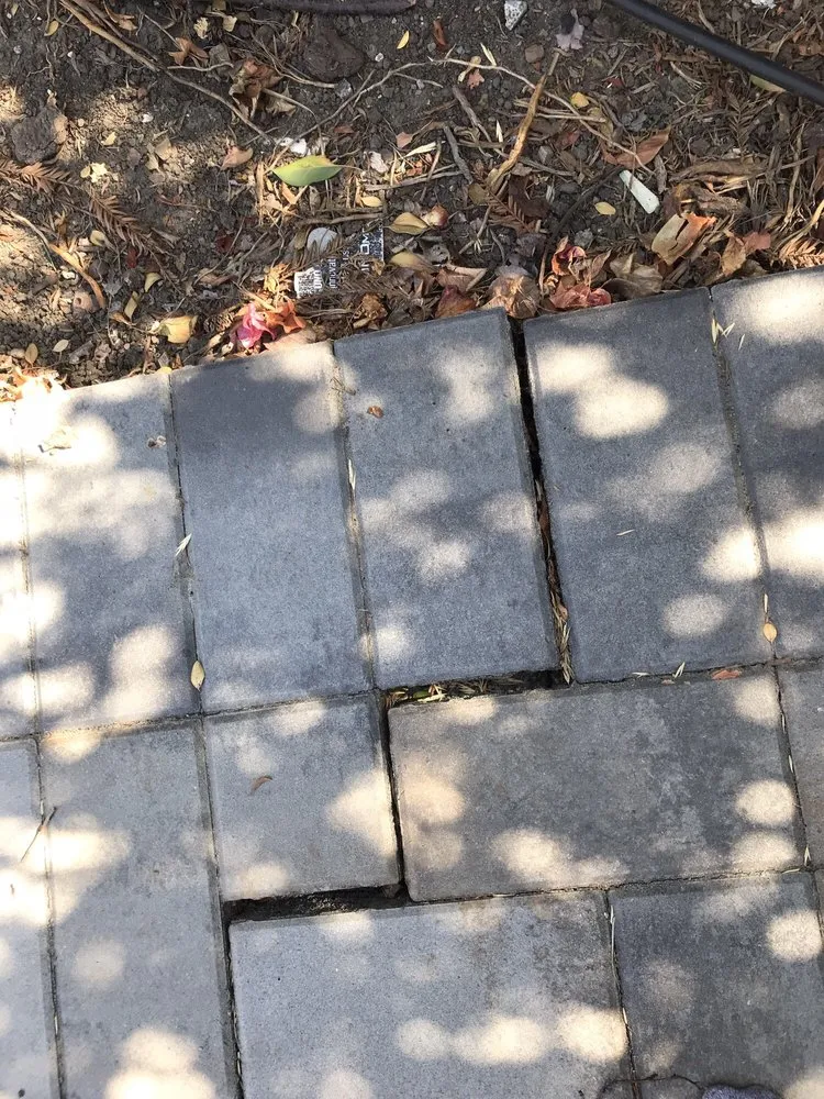 Reliable lawn mowing service in San Jose, CA - Chin Vo Landscape