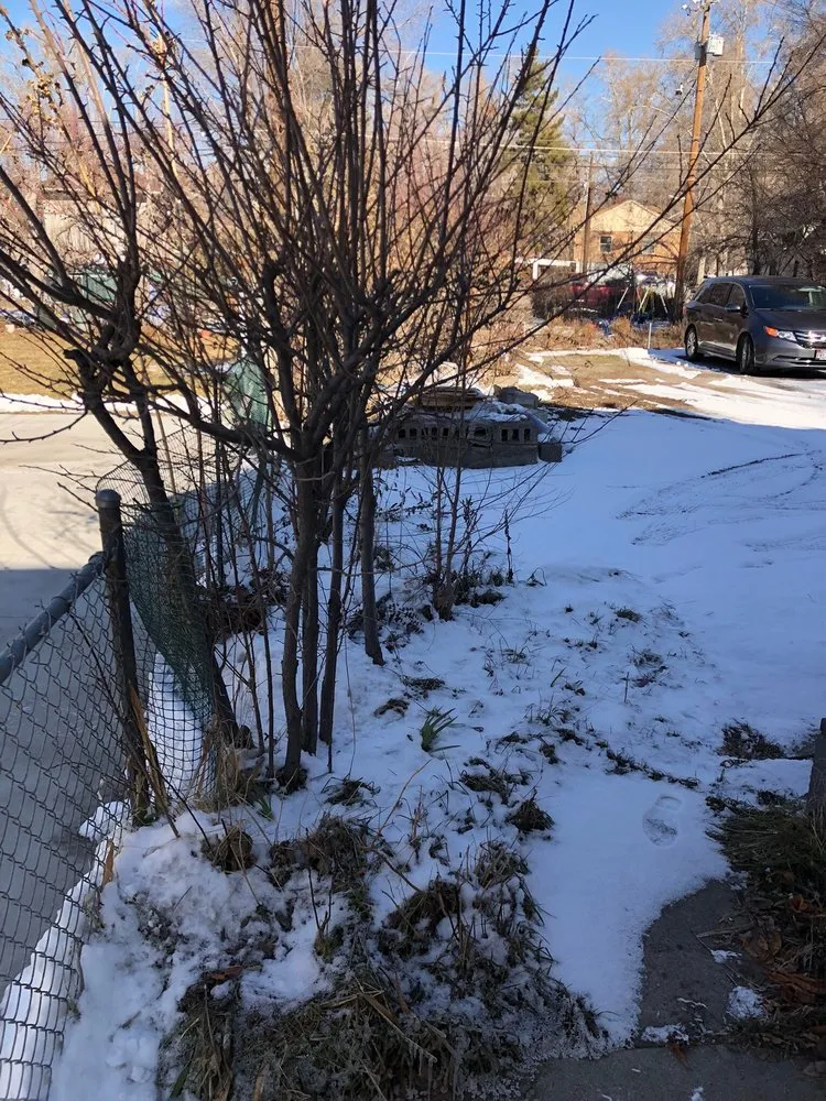 Custom residential landscaping experts serving West Valley City, UT - Chingon Landscaping