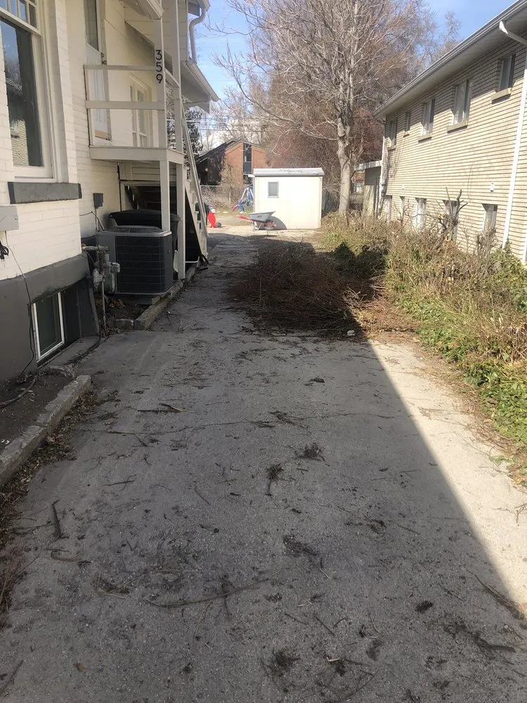 Expert yard cleanup service in West Valley City, UT by Chingon Landscaping